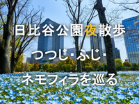 日比谷公園の花の三競演！ネモフィラ・ツツジ・藤を巡る庭園散歩を楽しもう！