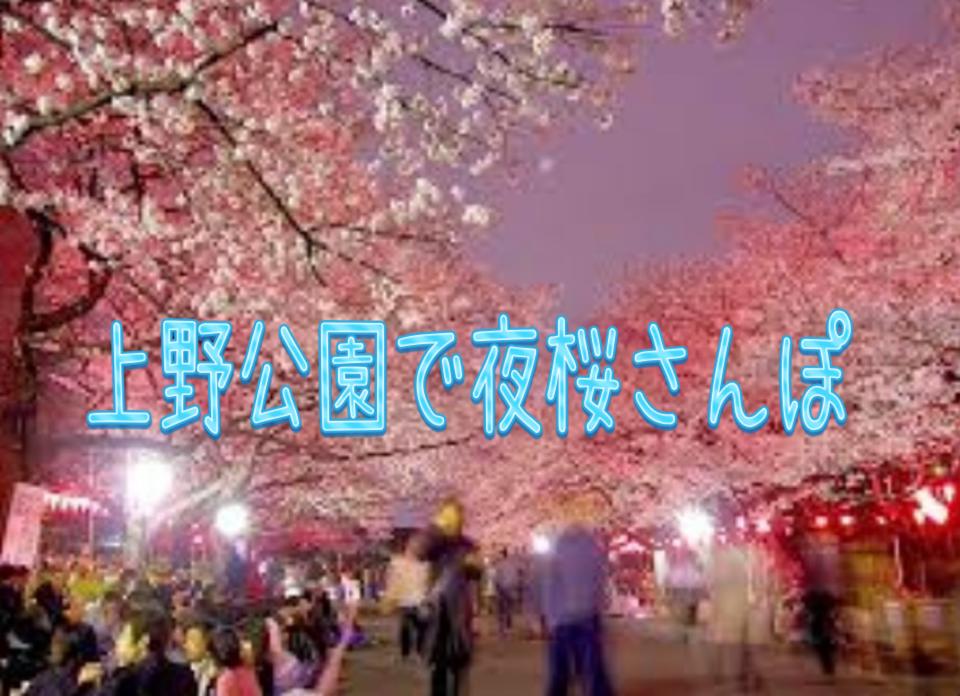 上野公園で夜桜を見ながら散歩しませんか🌸