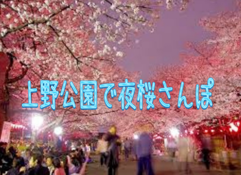 上野公園で夜桜を見ながら散歩しませんか🌸