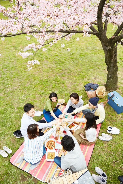 【4/4(土) 隅田公園で春満喫🌸】桜の下でピクニック交流会！20代30代限定・お花見貸切スペースあり✨
