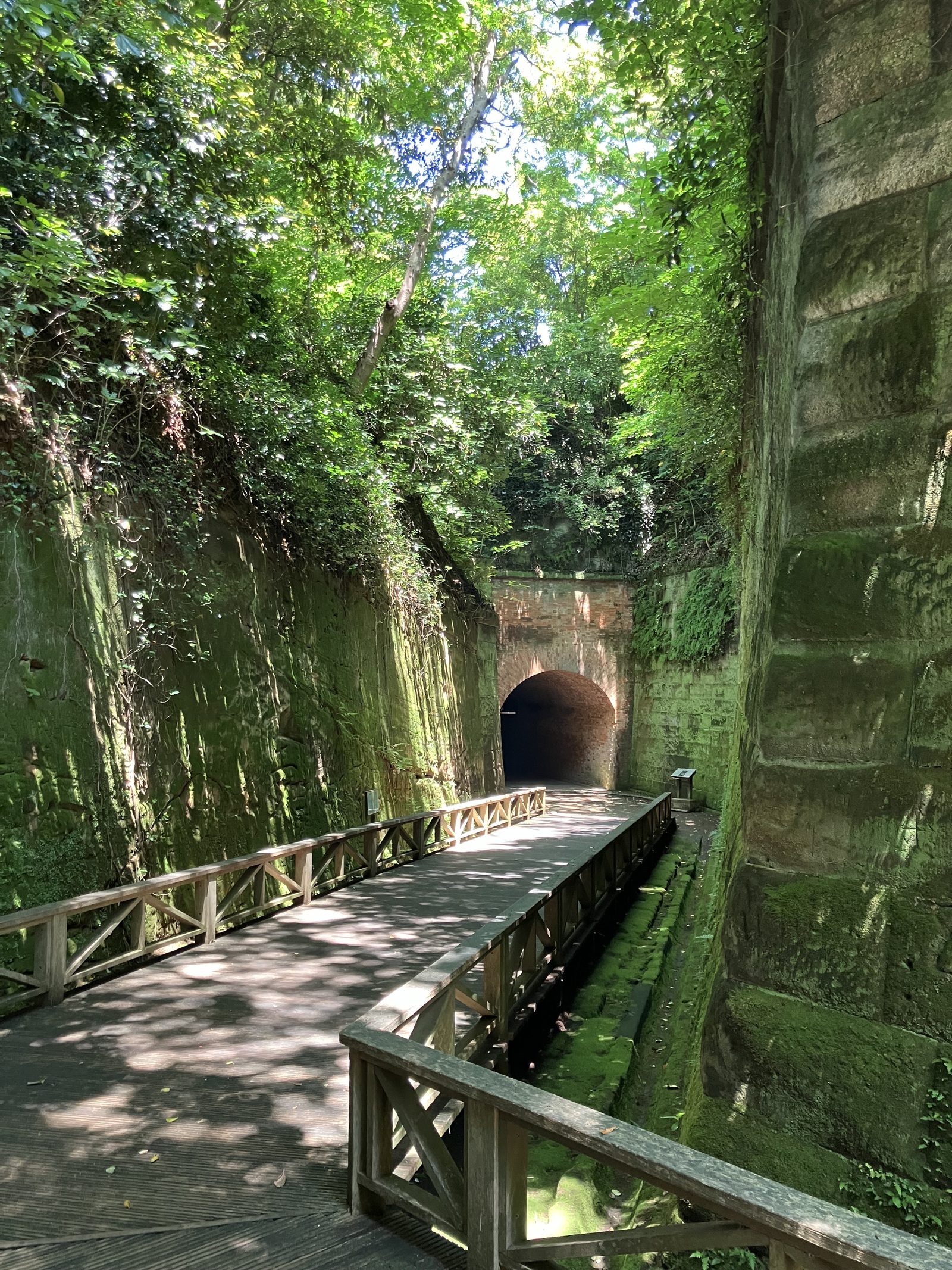 🌟横須賀・猿島(無人島)散歩会🌟30代後半〜50代前半