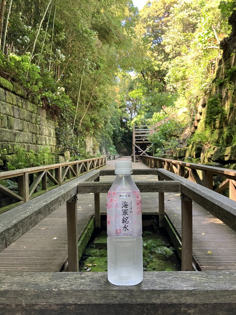 🌟横須賀・猿島(無人島)散歩会🌟30代後半〜50代前半