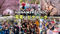 花見・ピクニック  　【世界の方と出会える場】※英語喋れなくてもOK