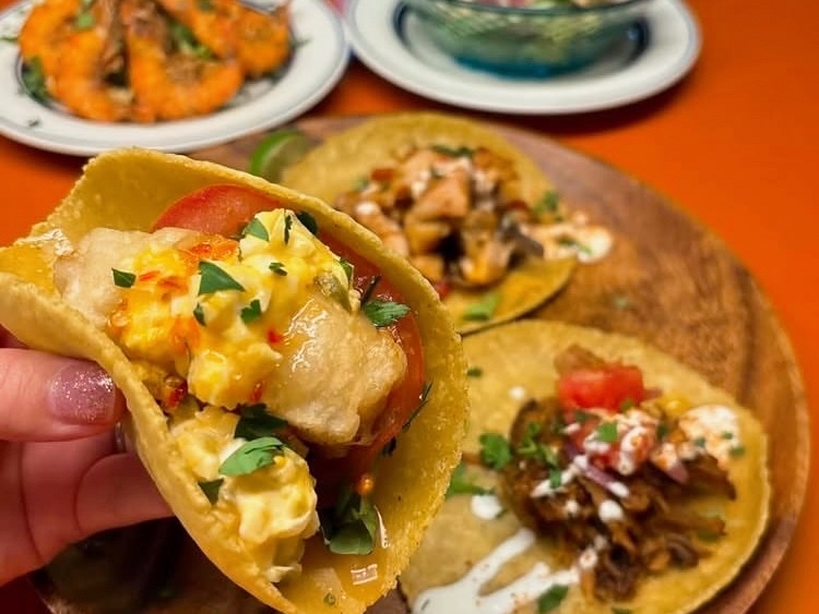 【20代限定】メキシコ料理を食べに行こう🌮✨