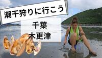 【３０・４０代　女性限定】あさりの潮干狩りに行こう！千葉木更津金田みたて海岸