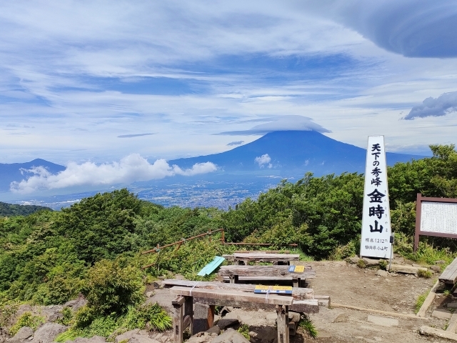 【箱根・金時山】新緑絶景ハイク🌳天下の秀峰へ⛰️