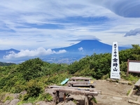 【箱根・金時山】新緑絶景🌳天下の秀峰へ⛰️富士山の絶景を見に行こう🗻