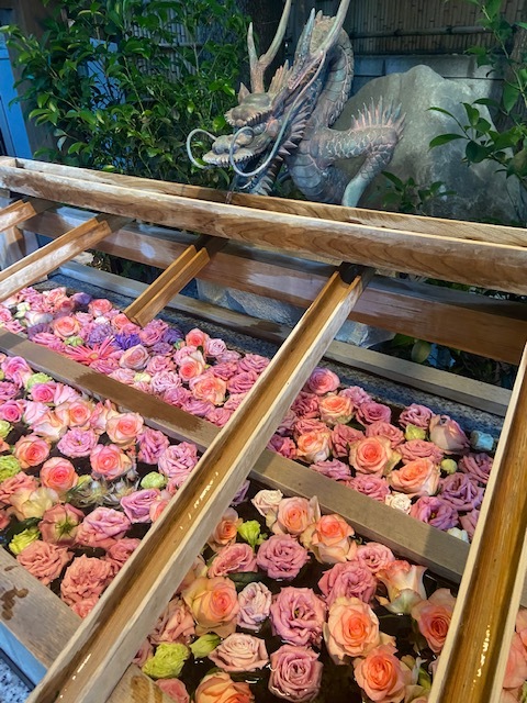 飯田橋スタート　一粒万倍日寅の日吉日　ライトアップお花見夜桜縁結びパワースポット散策会