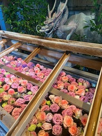 飯田橋スタート　一粒万倍日寅の日吉日　ライトアップお花見夜桜縁結びパワースポット散策会