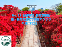 No. 11【長岡京】長岡京跡散策・長岡天満宮で満開のツツジの見に行こう！