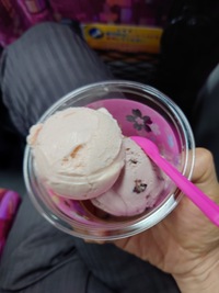 2026.4月  練習会はお花見もやります🌸(桑名市)