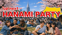🌸Hanami Picnic at Yoyogi Park 🌸代々木で国際交流花見