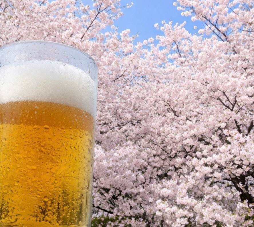 4/4(土) 12時〜🌸新宿でゆるっとお花見交流会🎊食べ放題🌭飲み放題🍺一人参加・初参加の方大歓迎🙌