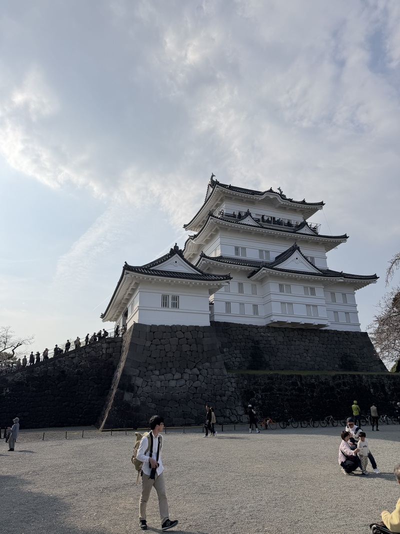 新社会人サークル設立したいです！