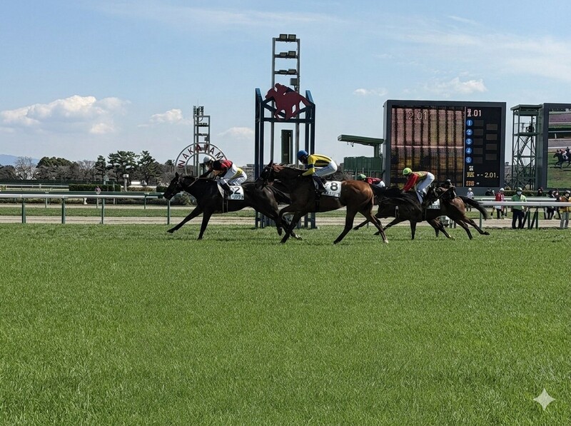 はじめての競馬を学べる超初心者向け講座