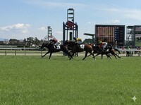 はじめての競馬（少人数開催、レンタルスペース）