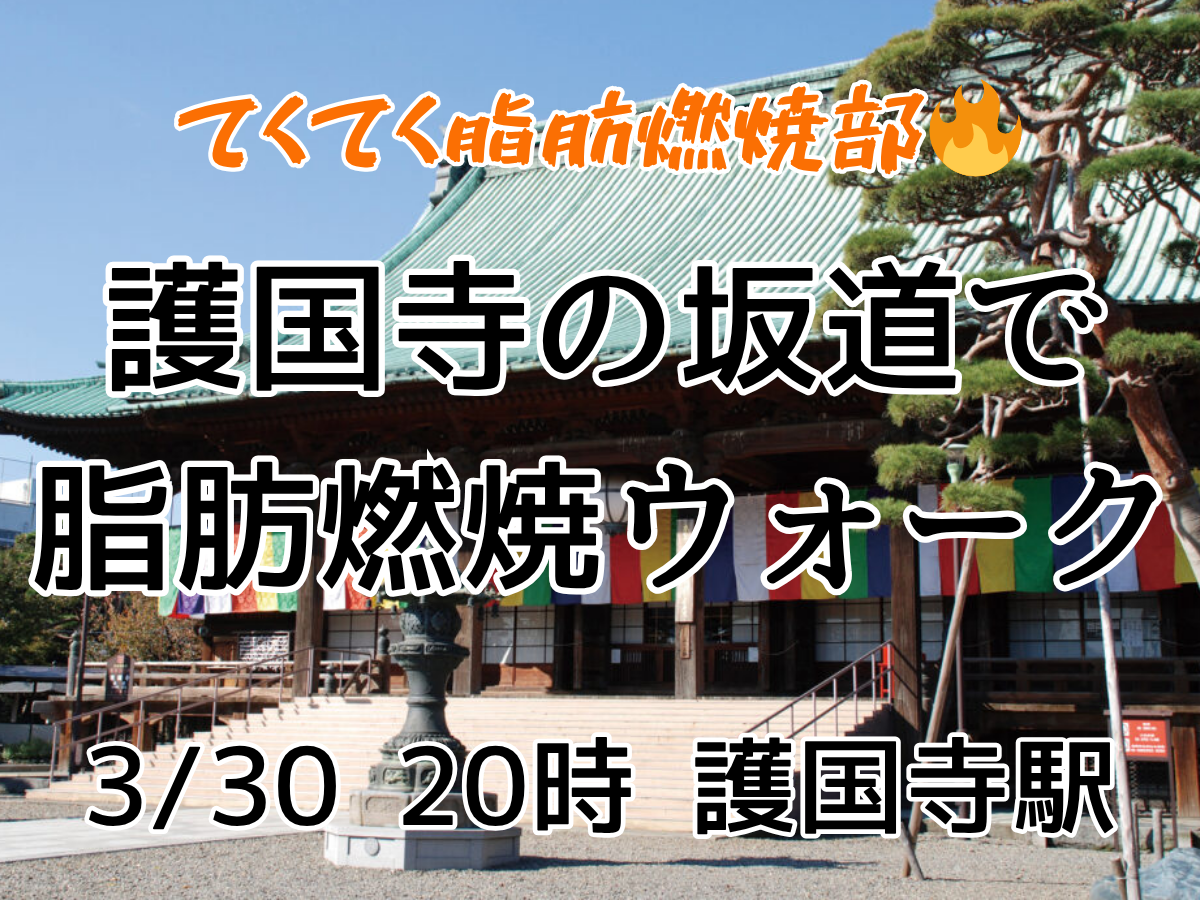 【ダイエット散歩】護国寺の坂道で脂肪燃焼ナイトウォーク🔥池袋ゴール・初参加歓迎