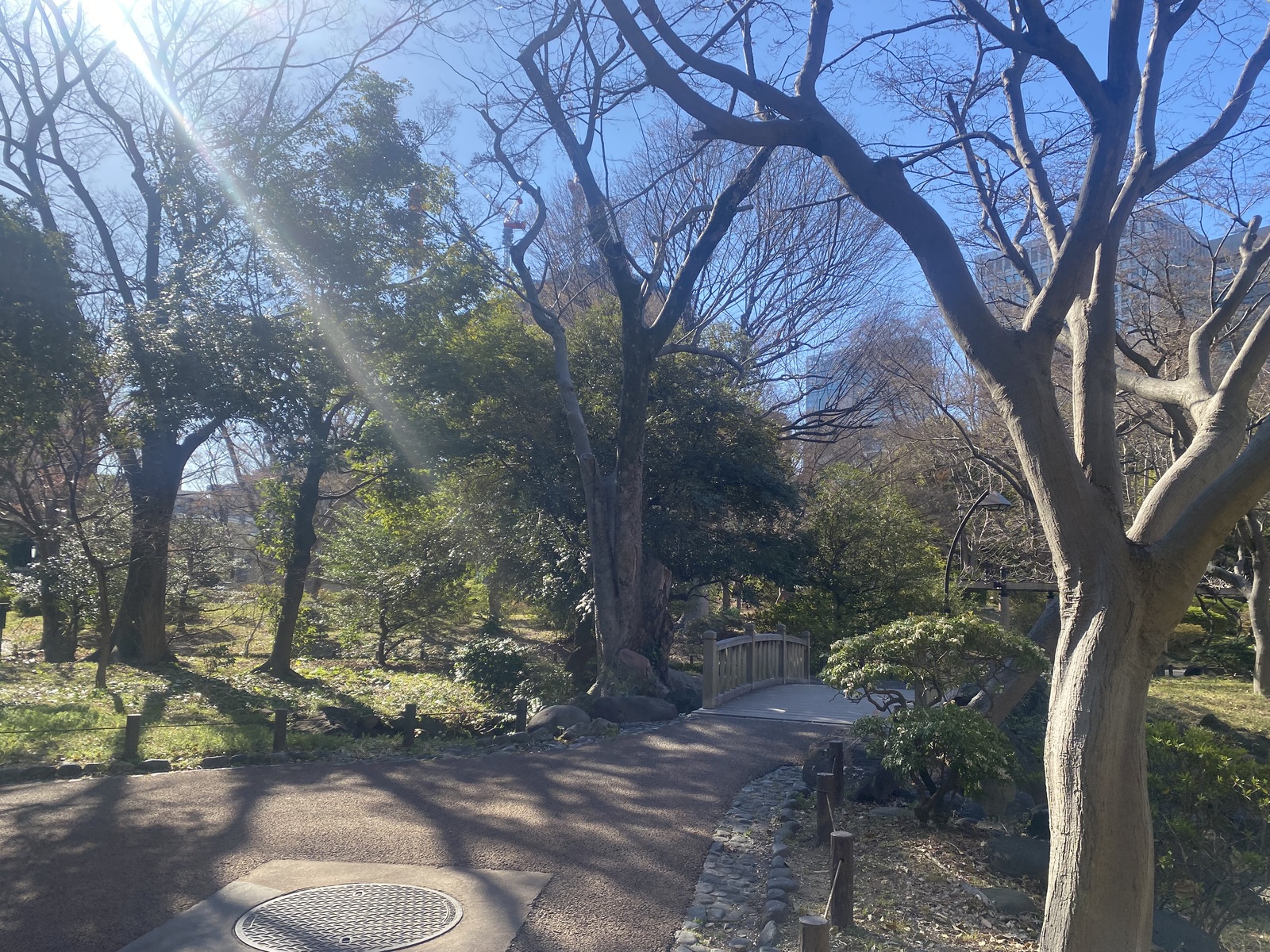 🚶🏻【日比谷公園】朝さんぽ と カフェトーク