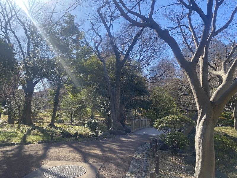🚶🏻【日比谷公園】朝さんぽ と カフェトーク