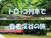 ～夏旅～トロッコ列車に乗って養老渓谷へ行こう♪