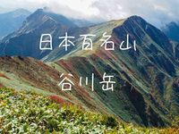 7/25【人気の日本百名山】ロープウェイ利用！谷川岳の「トマの耳」と「オキの耳」を制覇しよう！