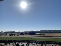 初めての方歓迎🔰東京競馬場で競馬🏇🏇🏇