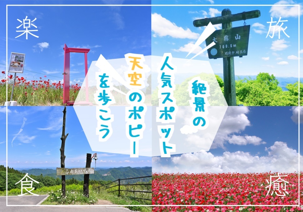天空のポピーが広がる大霧山でハイキングを楽しもう！