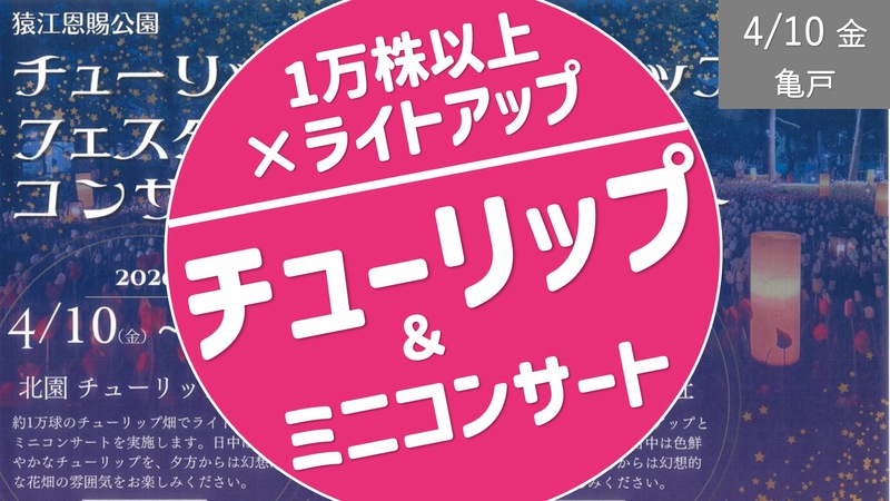 [錦糸町] ライトアップ✖︎チューリップ ✖︎ ミニコンサート （少人数開催）