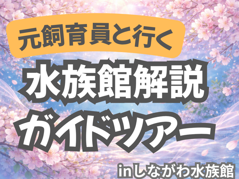 元･飼育員のしながわ水族館解説ガイドツアー