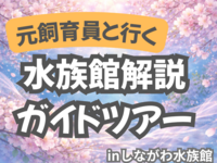元･飼育員のしながわ水族館解説ガイドツアー