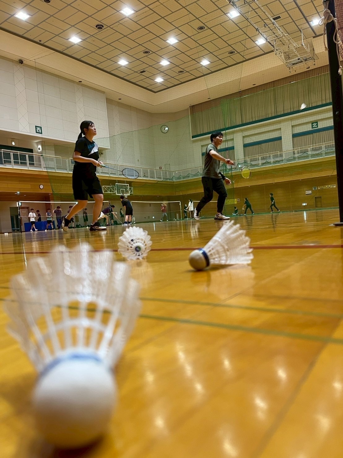 【FunLink😆🧑‍🤝‍🧑】バドミントン🏸