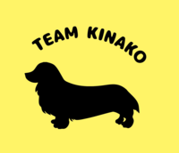 バレーボールサークル🏐初心者の方、経験者の方、大歓迎！