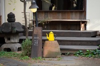 【20代】清澄白河周辺散策🚶とカフェ巡り☕️