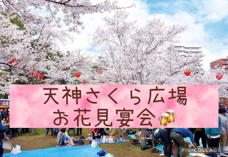 天神さくら広場🌸お花見宴会 🥳🍻
