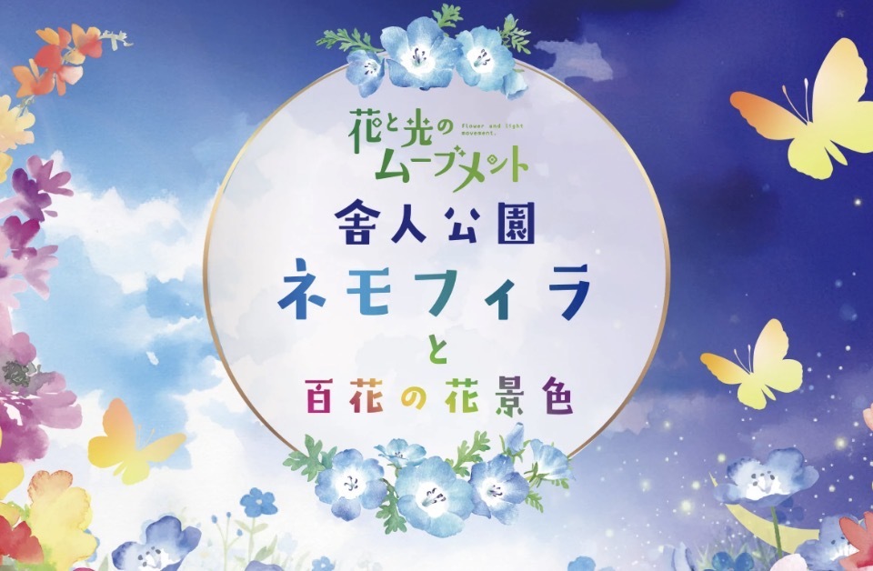 青い世界に浸ってみる！「光と花のムーブメント」開催中の舎人公園に行こう🌱