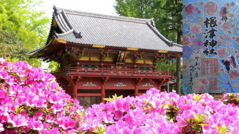 【つつじ祭り限定御朱印を頂こう！】4/12 13時半　根津神社！【参加費還元！】