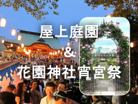 新宿の夜風に舞うバラの香りと、花園神社「宵宮祭」の熱気を楽しもう🌹