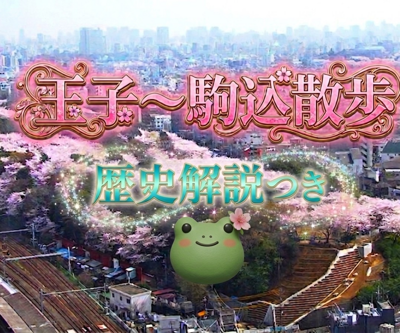 【男女共催】王子から駒込に散歩しよう【歴史解説付き】