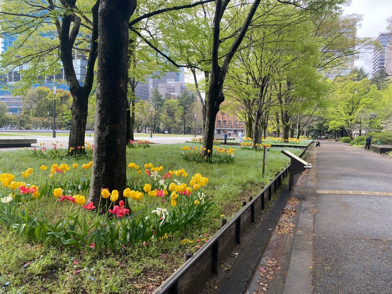 🚶🏻【日比谷公園】朝さんぽ と カフェトーク