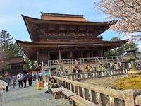 　吉野山　吉野山歴史と世界遺産を訪ねる

