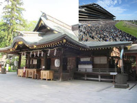 【神社参拝してから競馬に行こう！】4/25 14時　府中　大國魂神社～東京競馬場！【参加費還元！】