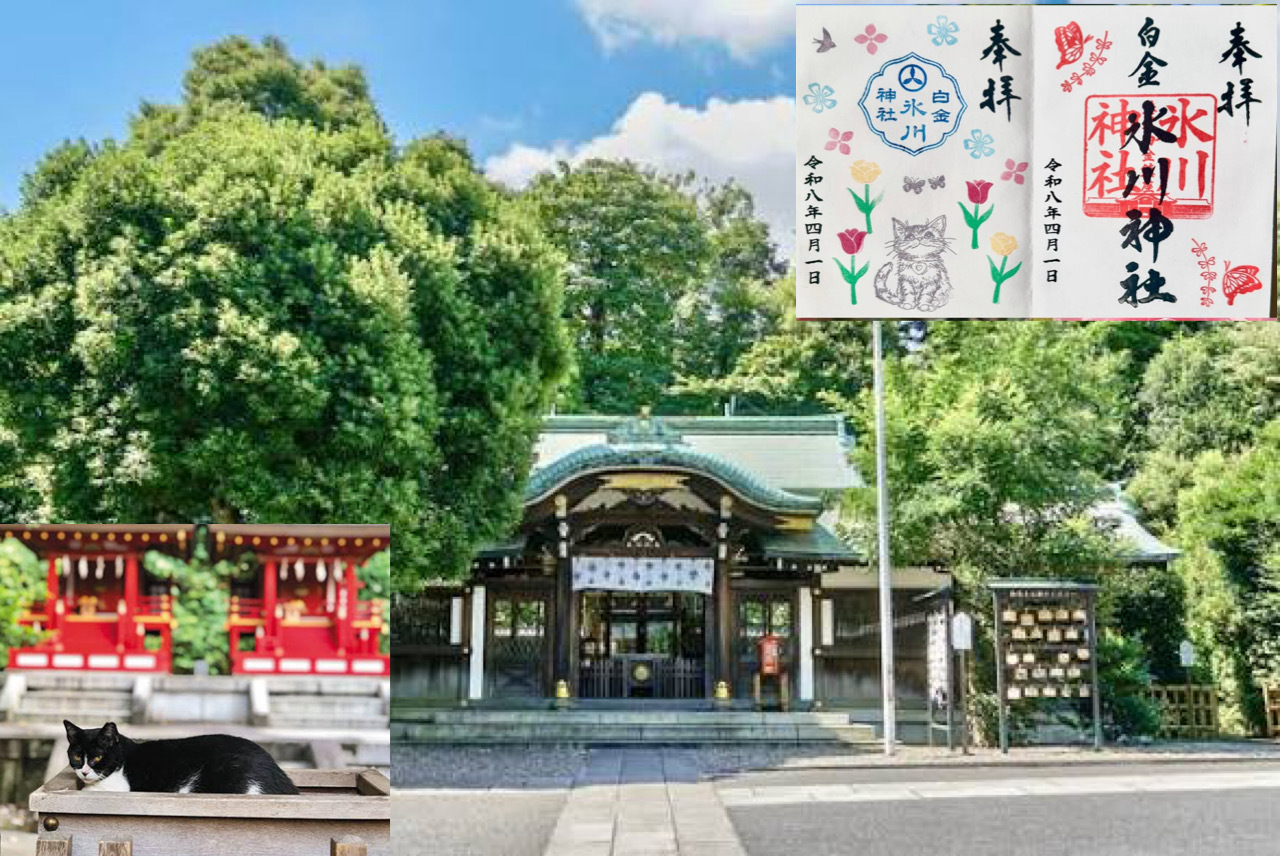 【猫御朱印を頂いて猫たちに会おう！】 4/18 14時　白金氷川神社【参加費還元！】