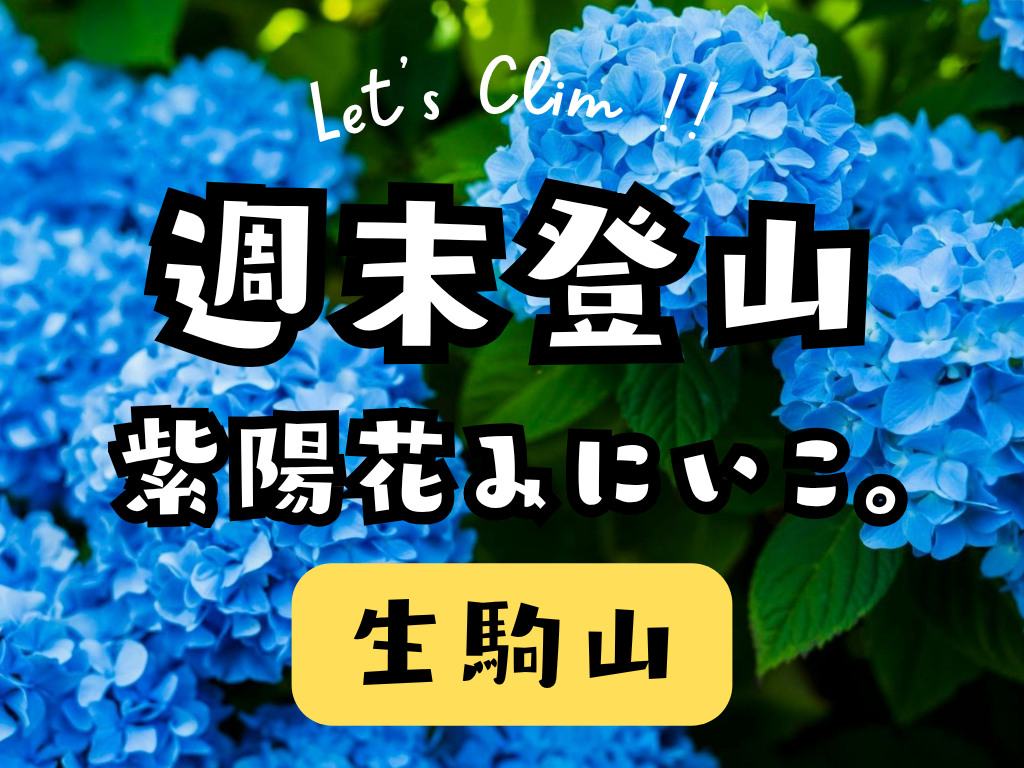 生駒山のアジサイを見に行こう🌺ゆるハイキング🌺