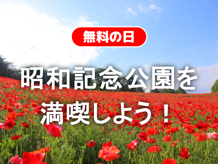 無料の日！ポピーの海！昭和記念公園で自然豊かなピクニック を楽しもう🌷