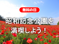 無料の日！ポピーの海！昭和記念公園で自然豊かなピクニック を楽しもう🌷