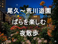 尾久～あらかわ遊園の夜散歩🌹都電荒川線沿いのバラをの楽しもう🚃