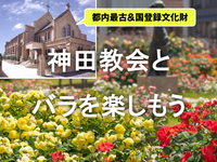 昭和のレトロ建築と、5月のバラに包まれる本郷・神田散歩を楽しもう