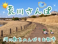 【40代50代】荒川さんぽ🚶‍♂️植物🪴や野鳥🦆を自然観察しながらのんびりお散歩しませんか(*'▽'*)