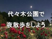 夜の代々木公園を散策してみよう！この時期はバラ園がみどころの一つです🌹