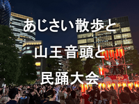 山王祭の灯火とアジサイ🏵️紀尾井町～日枝神社のトワイライトウォーク！